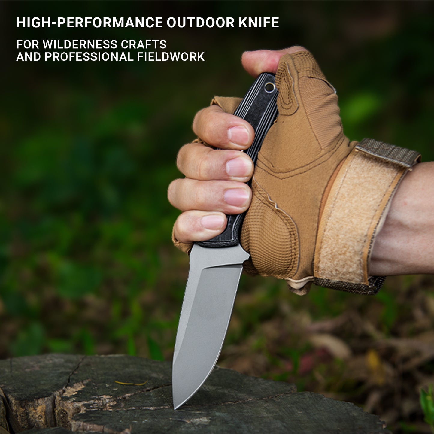 Fixed Blade Knife with Sheath, 3.62” Drop Point D2 Blade Titanium Plating G10 Handle for Camping